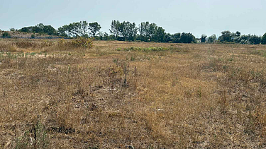 Open field in Čačak, Serbia, designated as the future location of a wastewater treatment plant. The image shows dry grassland with scattered vegetation and a line of trees in the background under a clear sky.