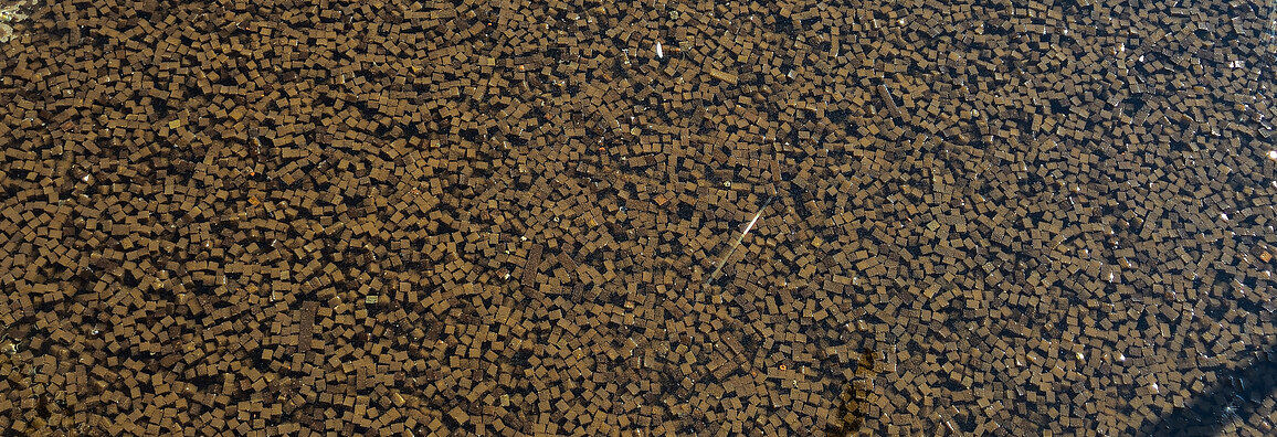 Nahaufnahme zahlreicher LINPOR-Würfel, die im Wasser schwimmen und eine dichte Schicht aus kleinen, braunen, porösen Blöcken bilden, die für die biologische Abwasserreinigung verwendet werden.