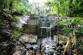 Small stepped concrete structure in a forest channeling water into a stream, surrounded by green vegetation.