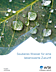 Coverbild mit Wassertropfen auf einem grünen Blatt und dem Titel „Sauberes Wasser für eine lebenswerte Zukunft“, Insights 2025/2026, WTE – STRABAG Group.
