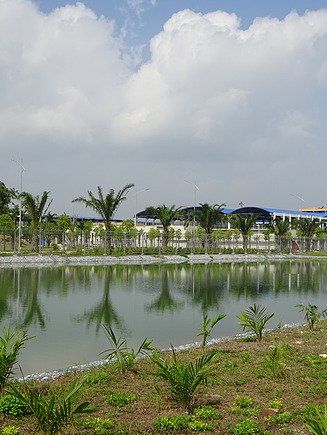 Water treatment facility with landscaped pond and palm trees under a partly cloudy sky.