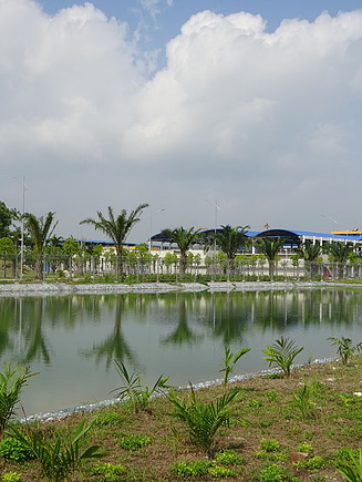Wasseraufbereitungsanlage mit angelegtem Teich und Palmen unter einem teilweise bewölkten Himmel.